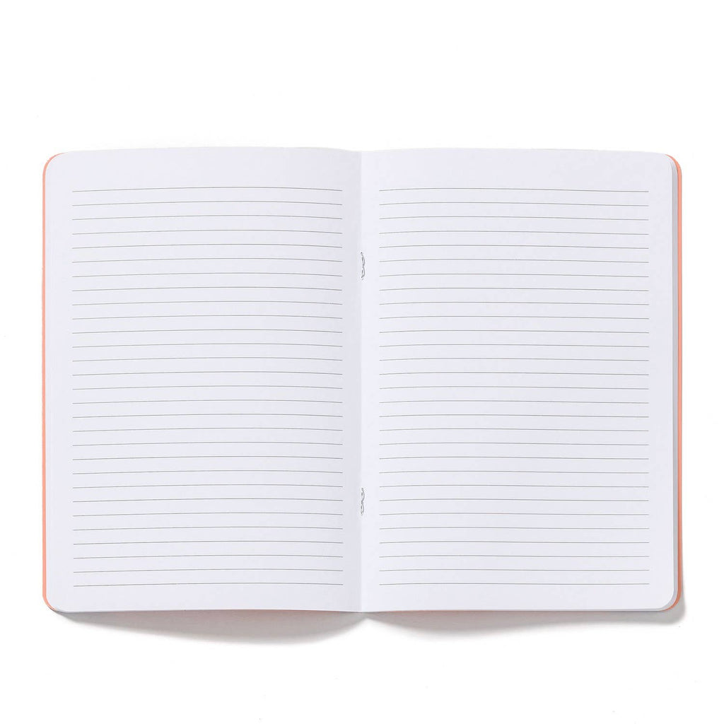 Fresh & Colorful High Note® 3-Pack Notebook Set