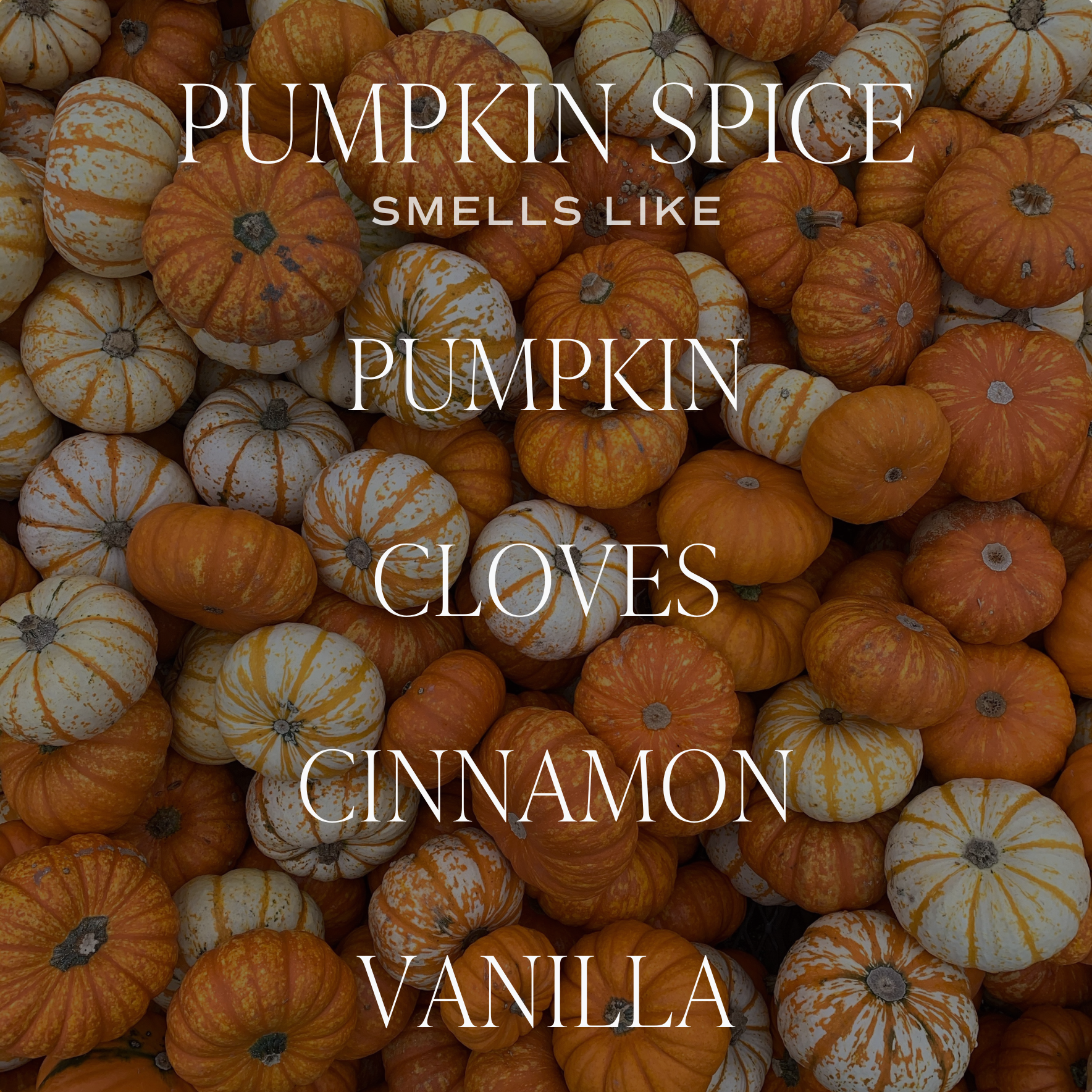 Pumpkin Spice Hanging Air Freshener - Fall Decor