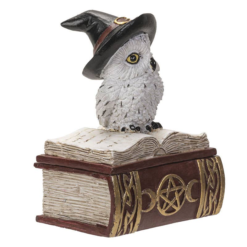 Owl on Spell Book