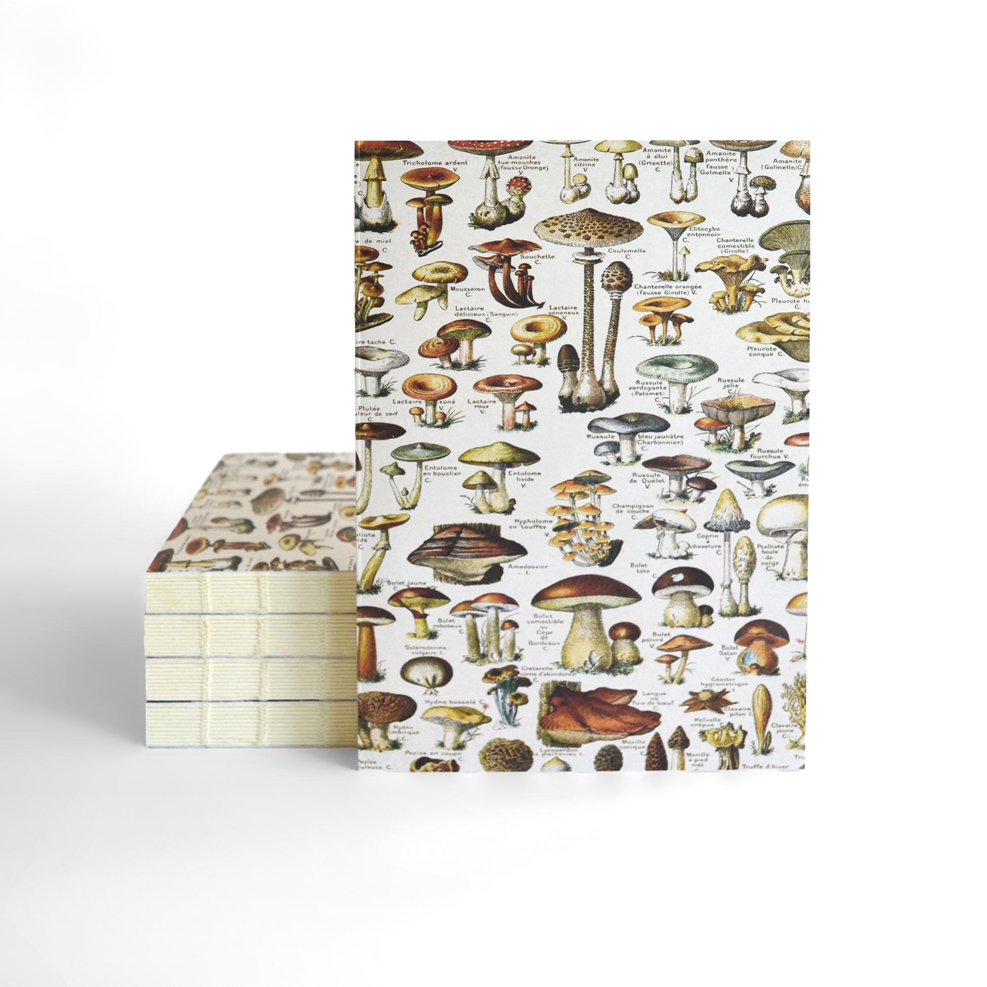 Vintage Tan Mushroom Exposed Coptic Binding Notebook Journal