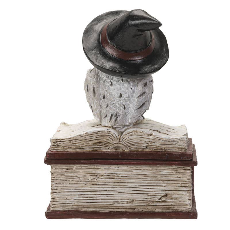 Owl on Spell Book
