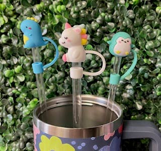 Other Large Straw Toppers