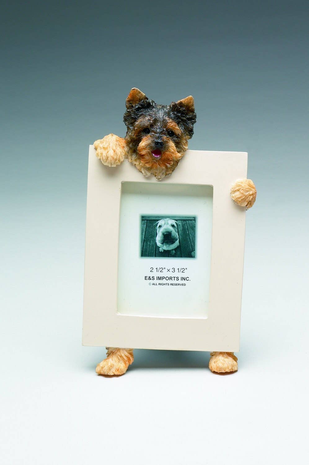 Yorkie puppy Picture Frame