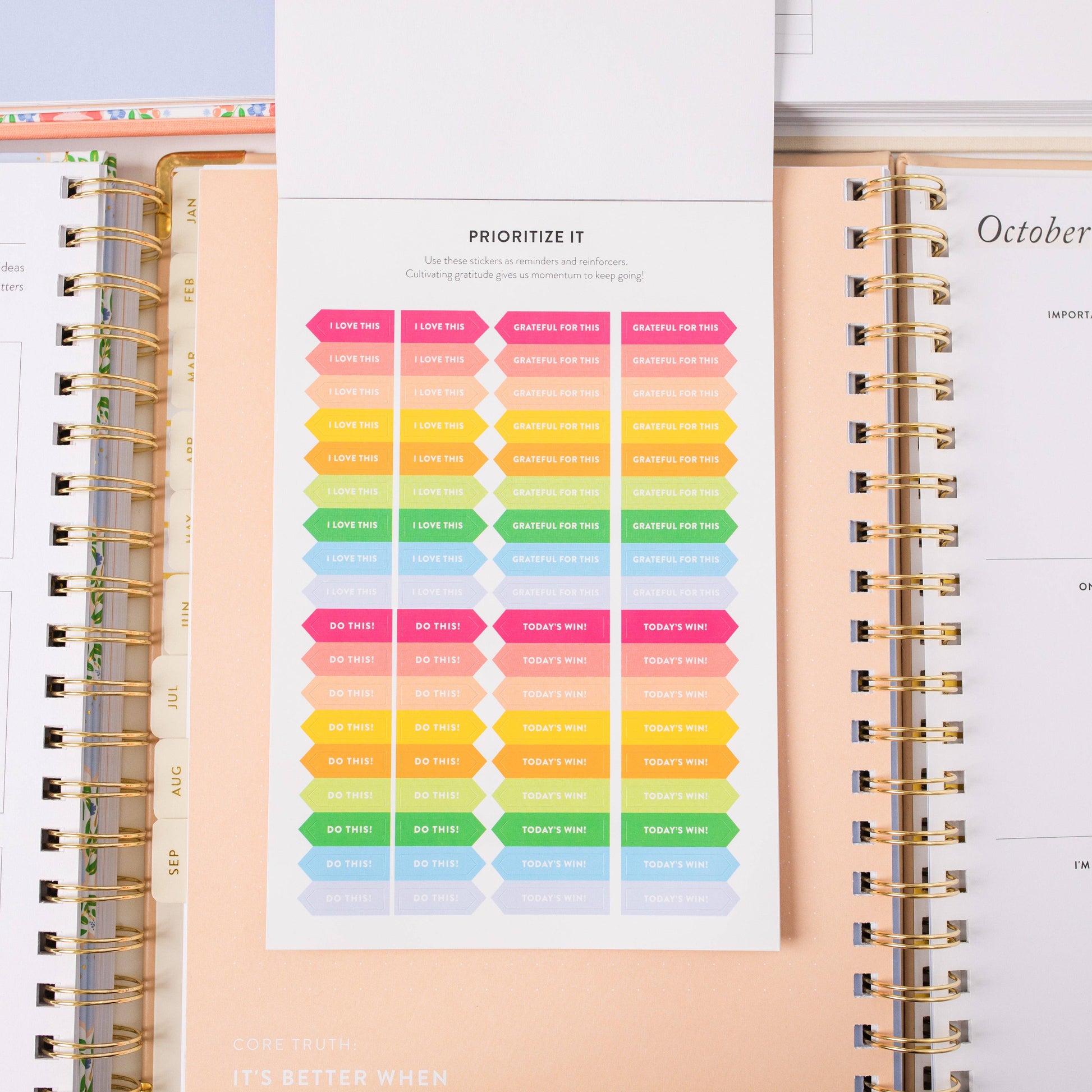 Goal Setting Sticker Book - Painted Flower Stickers