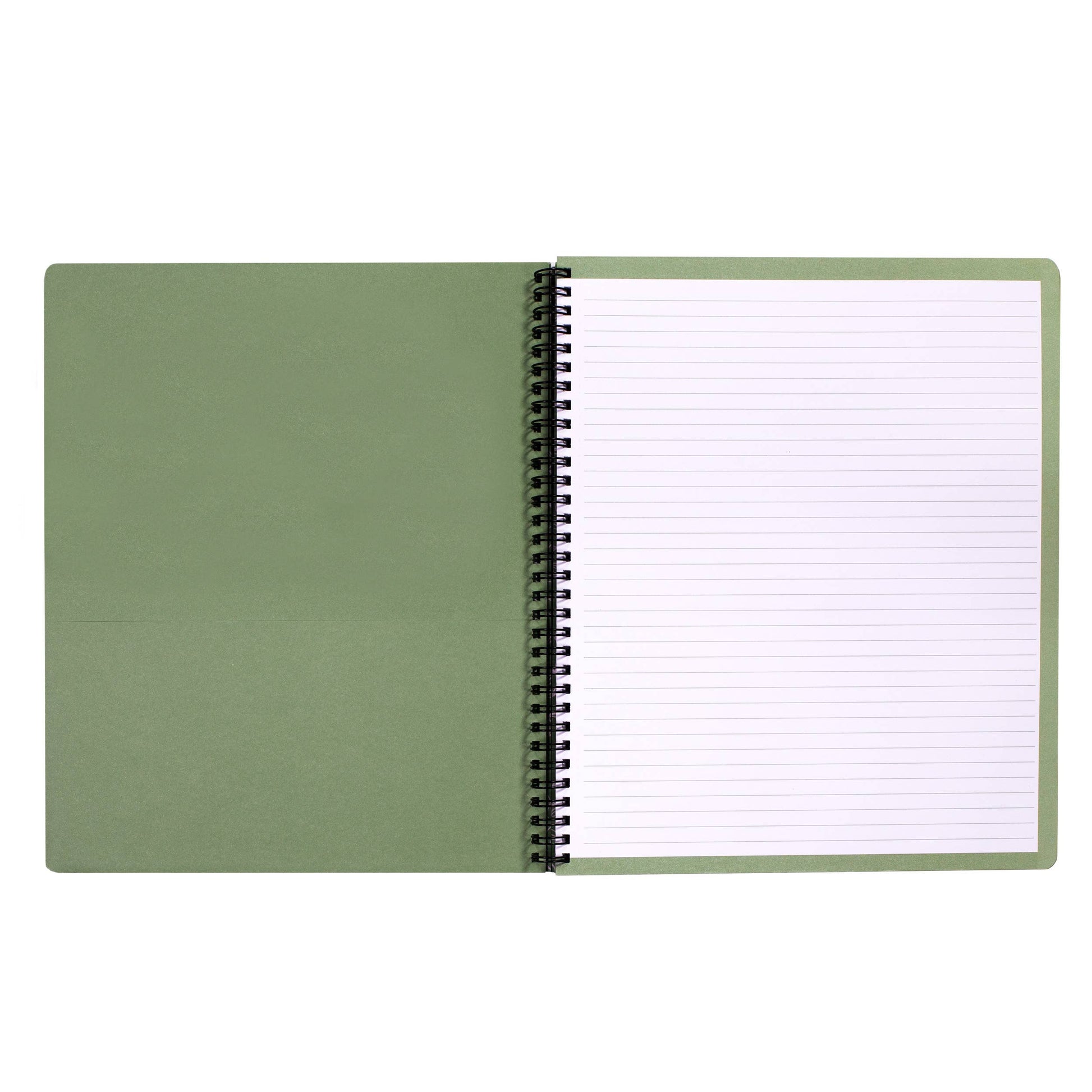 Large Notebook, Mushroom