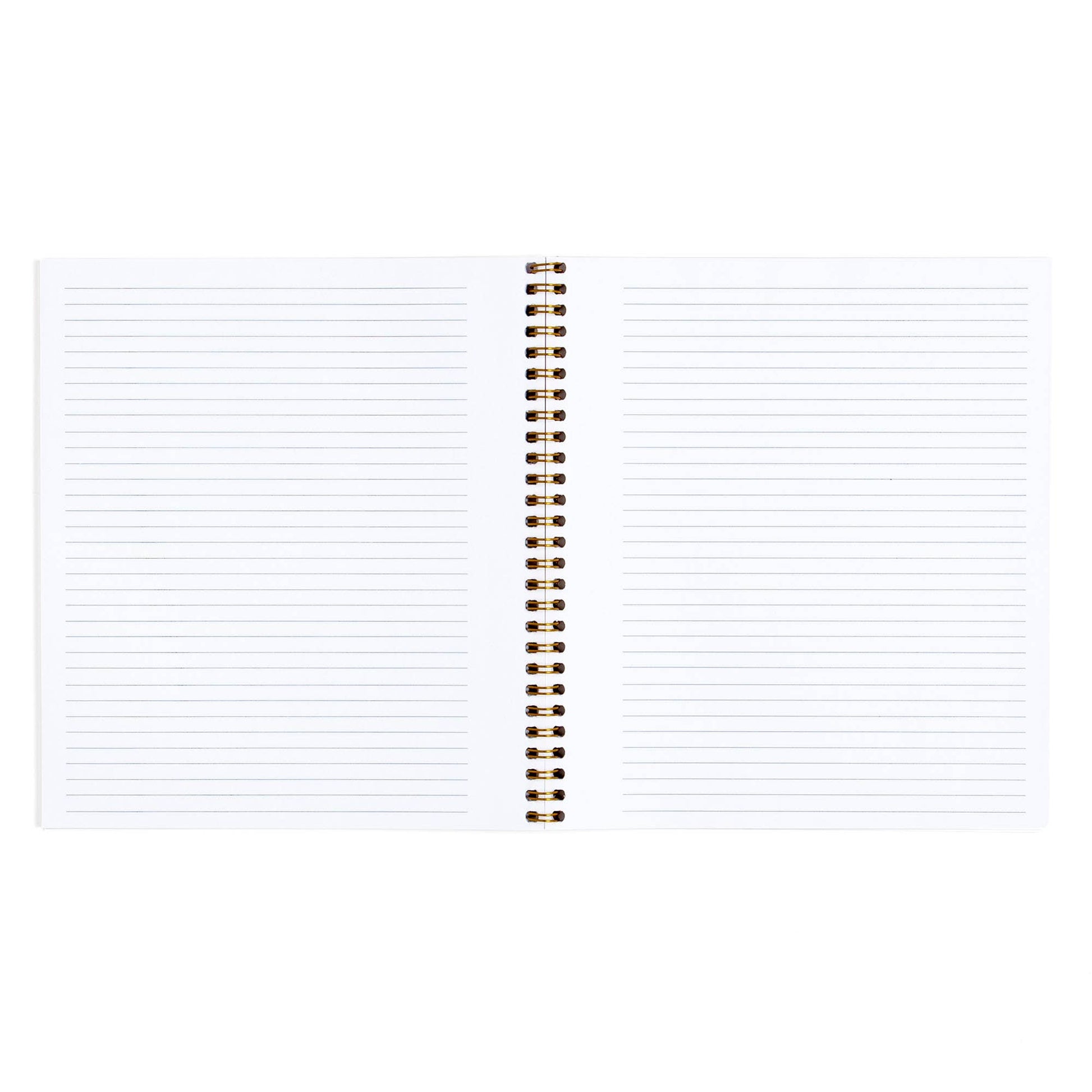 Dragonfly Stars Hollow Spiral Notebook