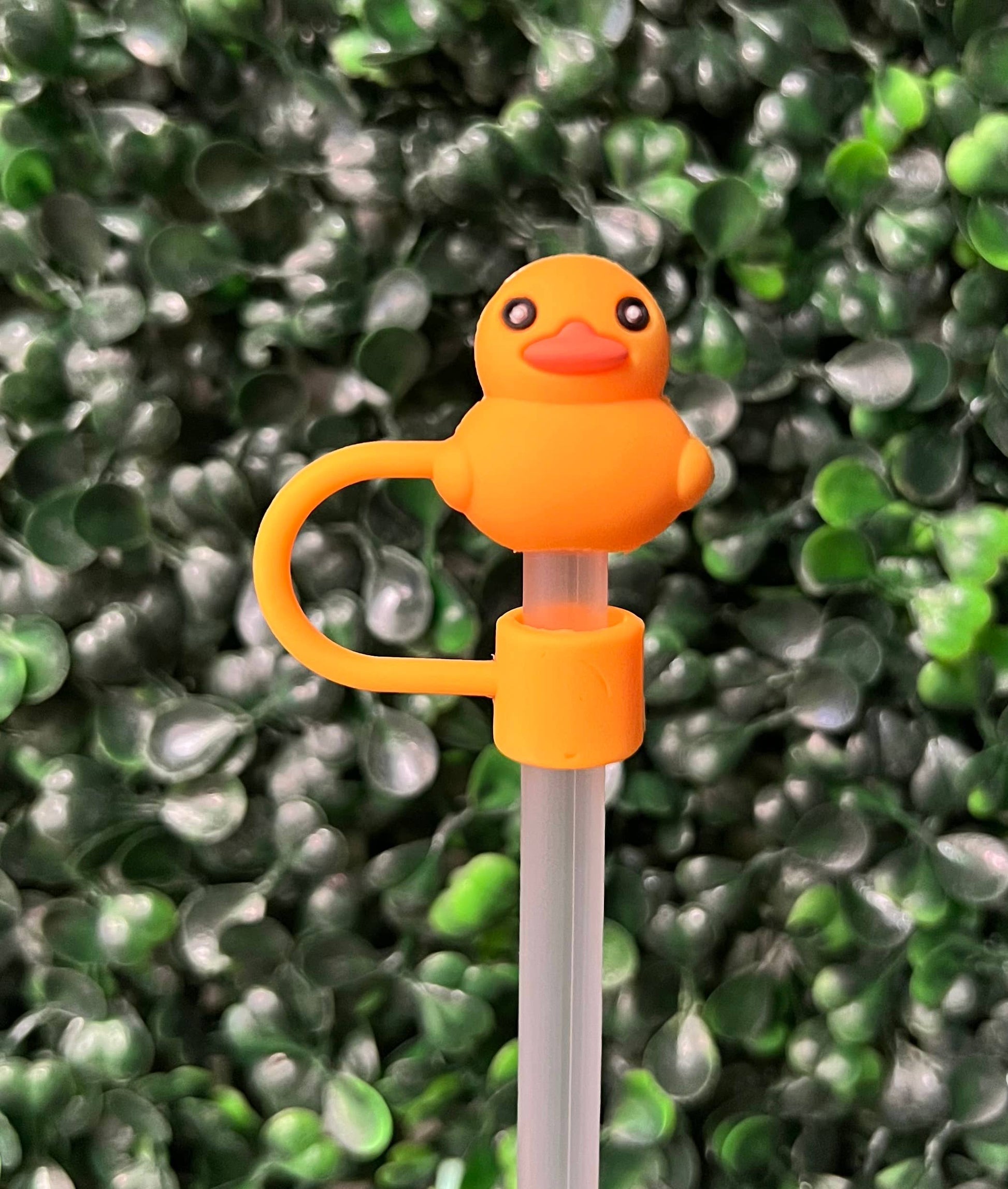 Other Large Straw Toppers