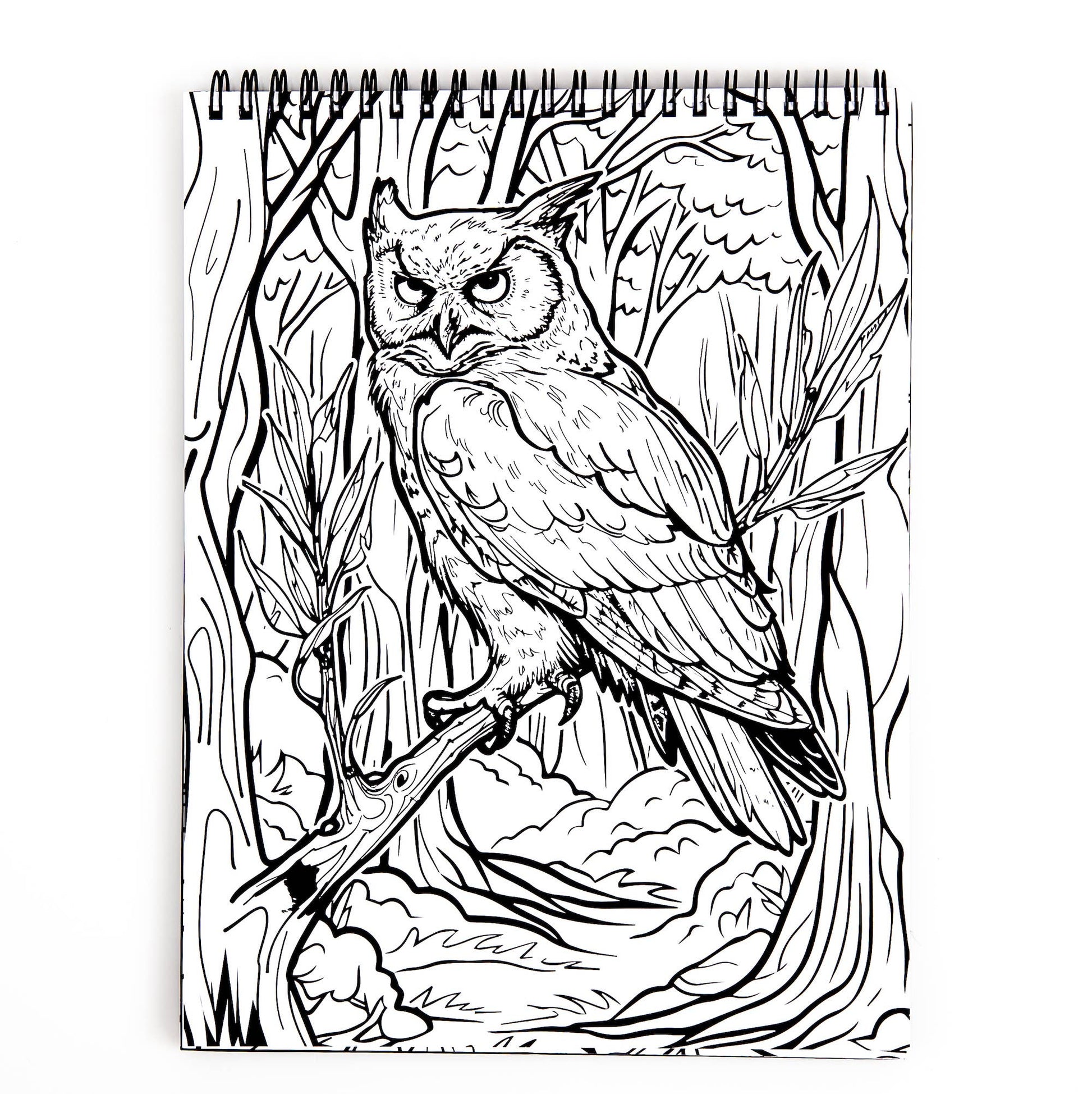 Waiting for the Night Coloring Book