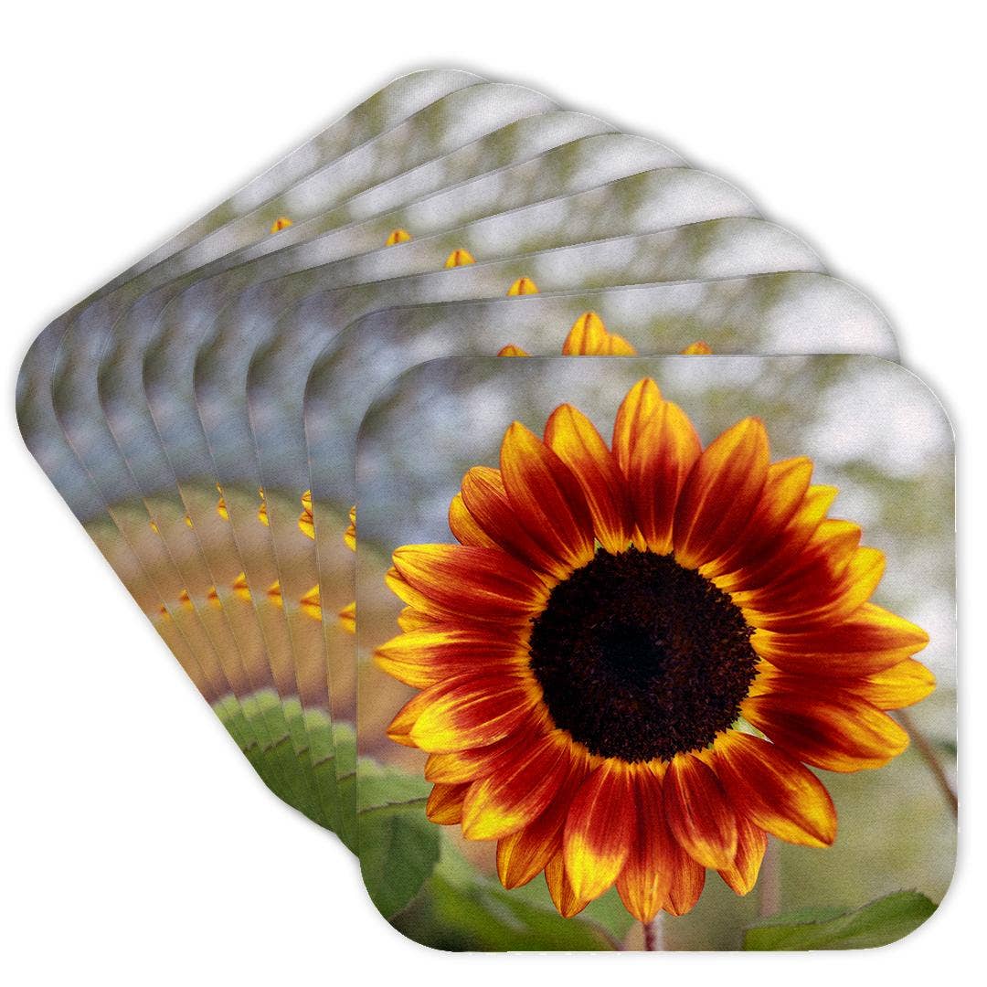 Sunflower in full bloom, Soft Coaster