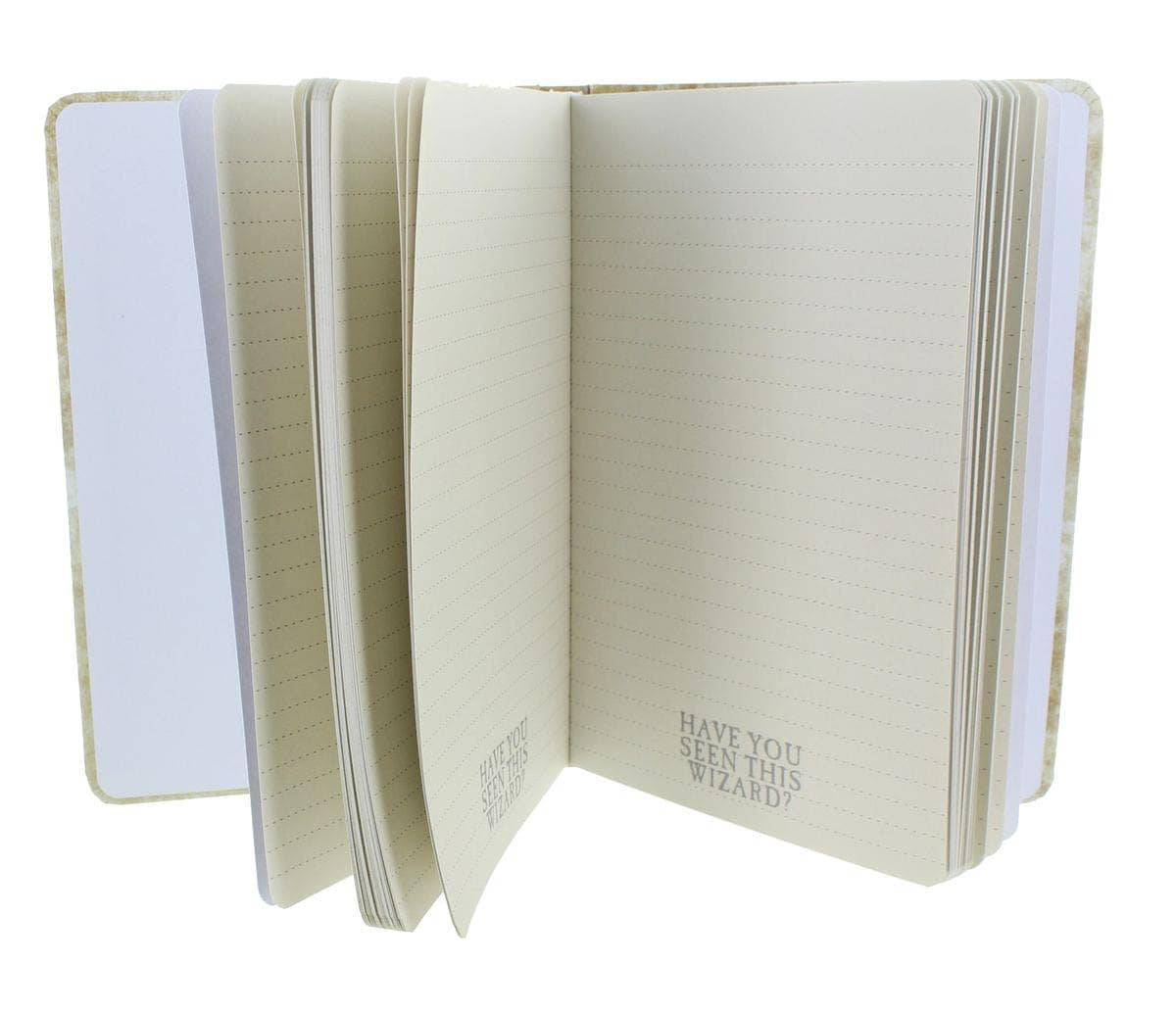 Harry Potter Wanted: Have You Seen This Wizard Journal