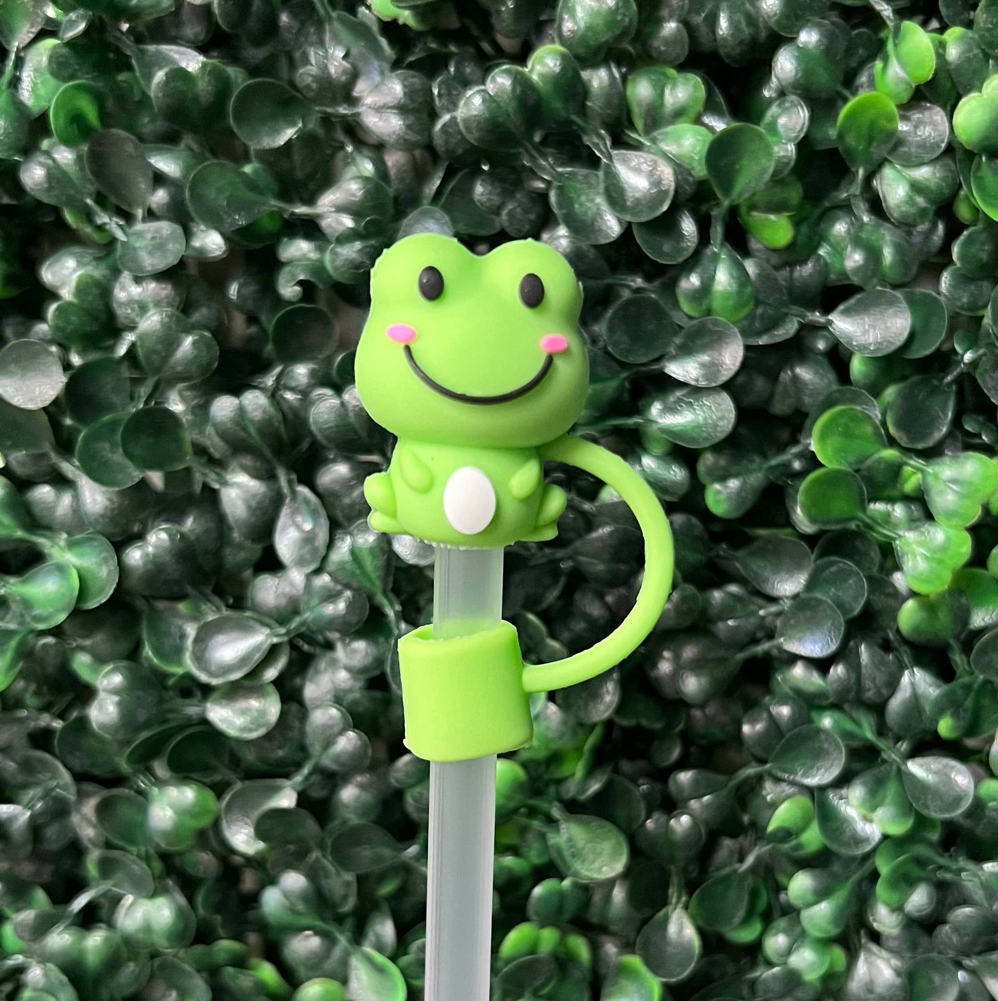 Other Large Straw Toppers