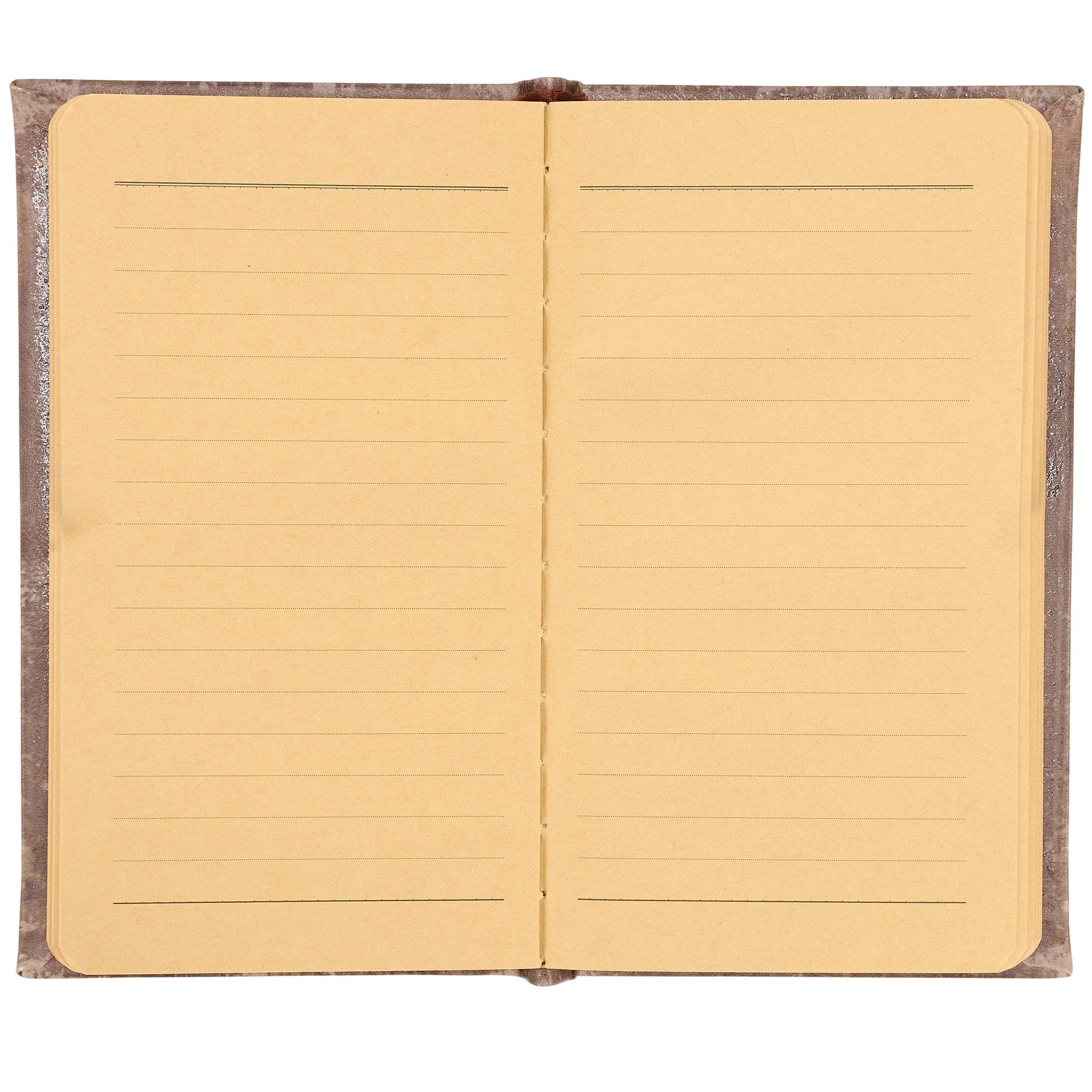 Vintage Beetle Journal