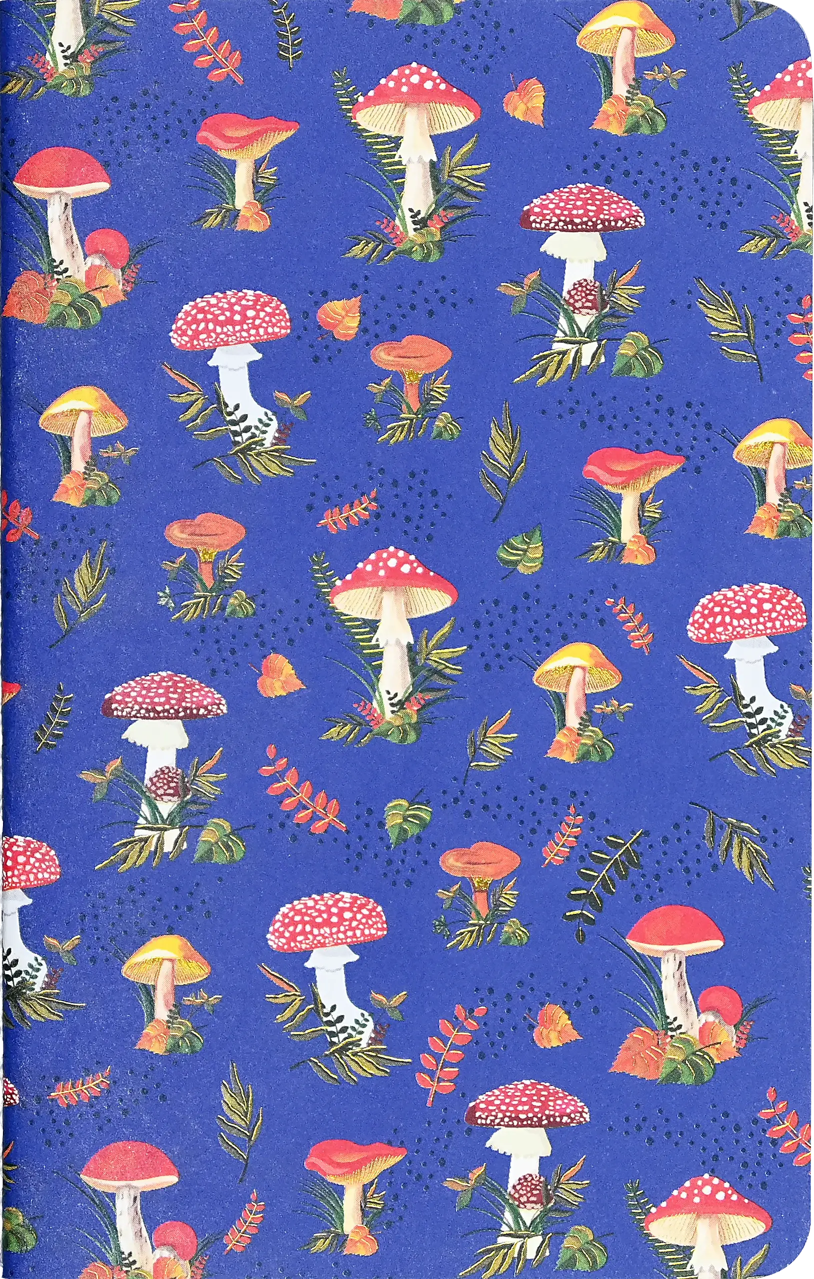 Jotter Mini Notebook Sets: Mushrooms