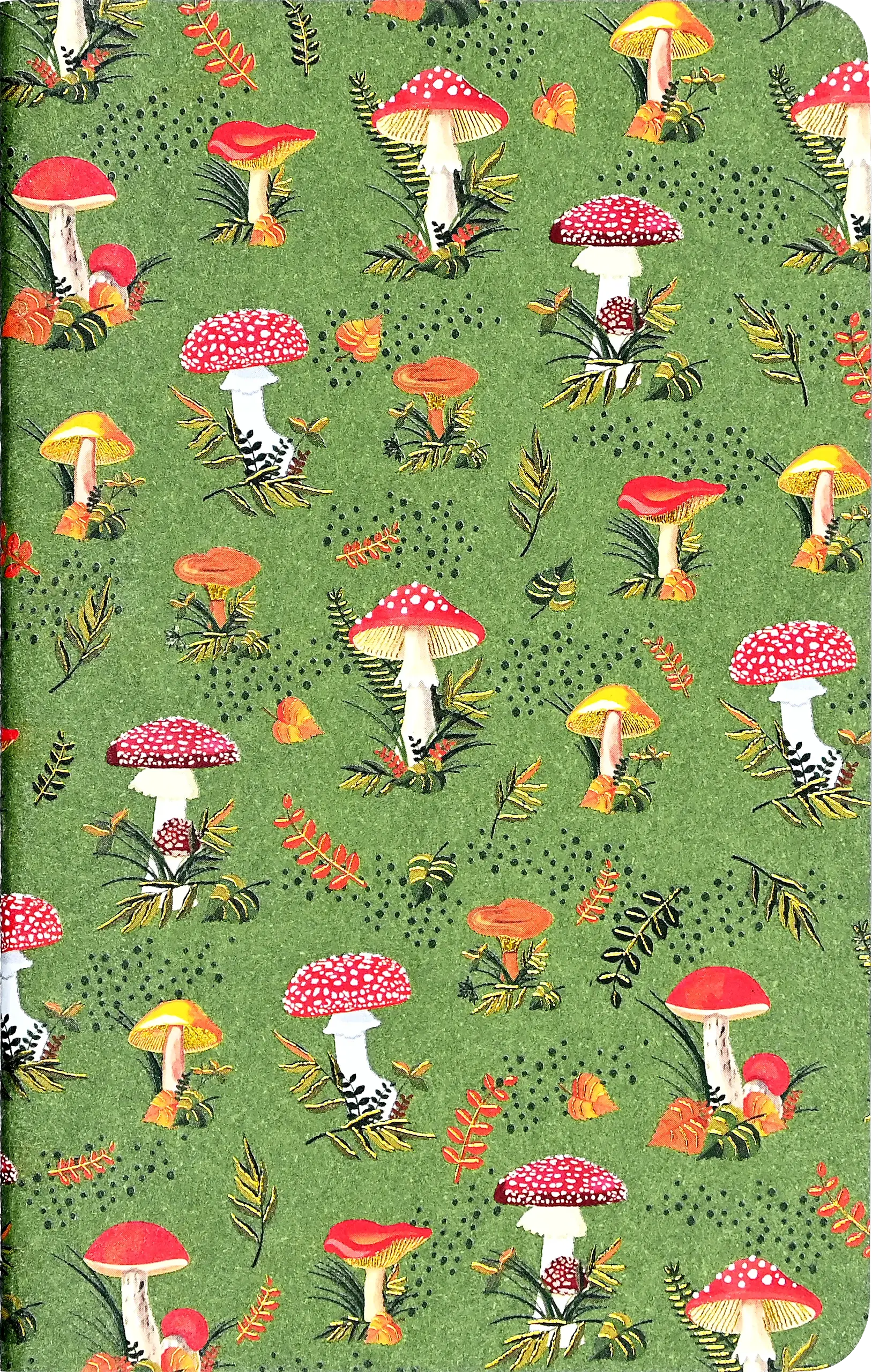 Jotter Mini Notebook Sets: Mushrooms