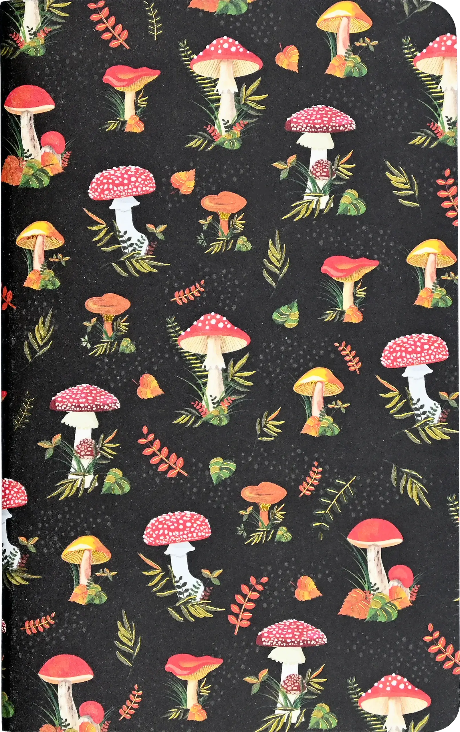 Jotter Mini Notebook Sets: Mushrooms