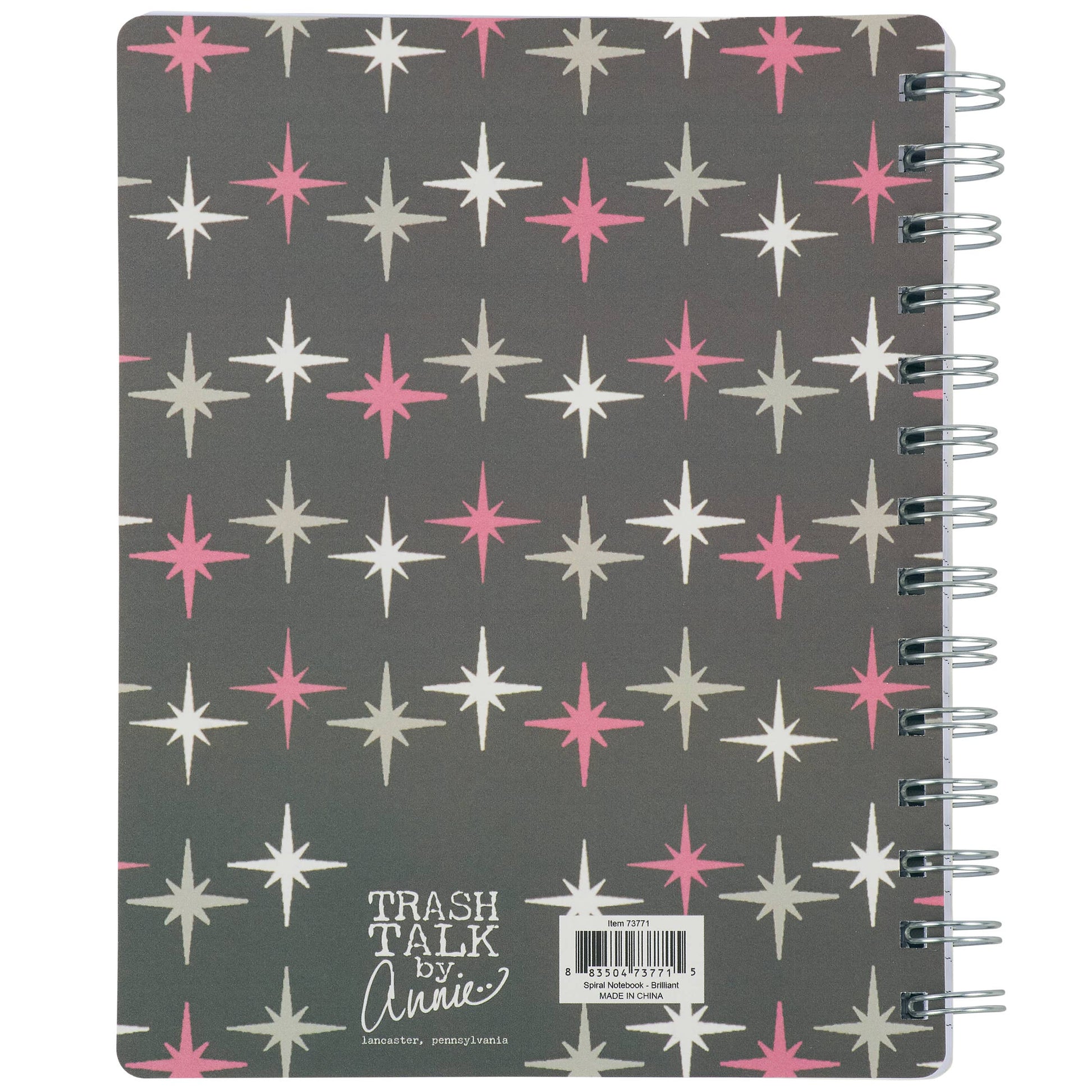 Brilliant Ideas I Had Spiral Notebook