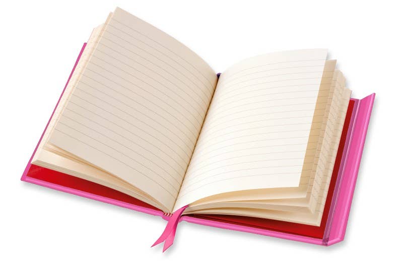 Bee Brown: Pink Floral Dove Journal