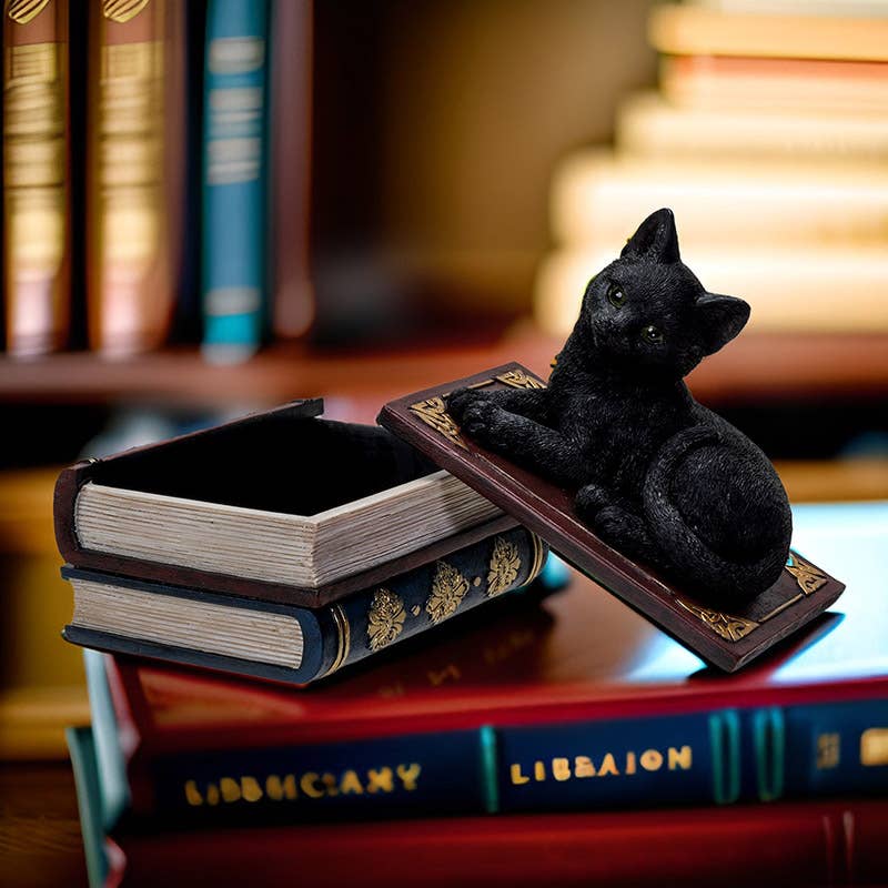 Black Cat on Book Box Figurine
