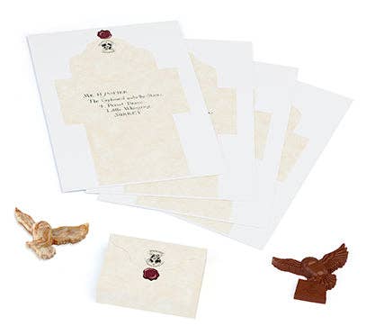 Harry Potter: Make Your Own Chocolate Owls Gift Set