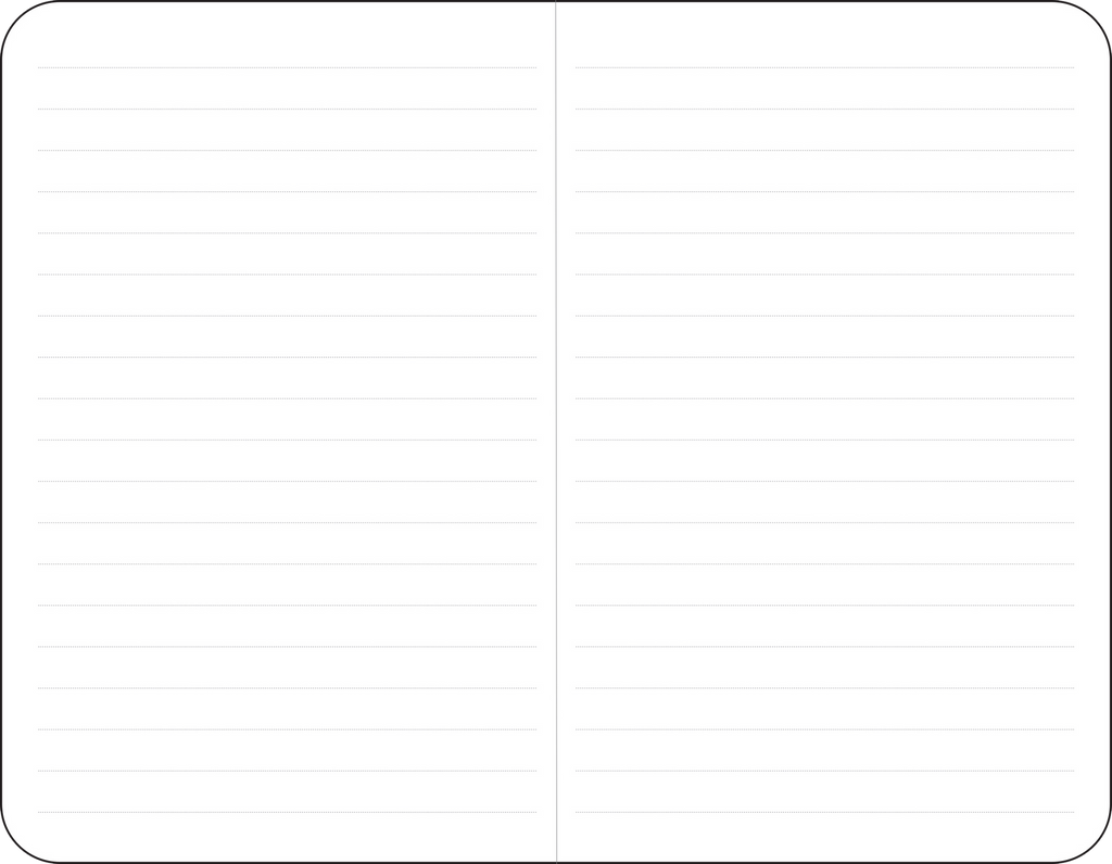 Jotter Mini Notebooks: Daisies