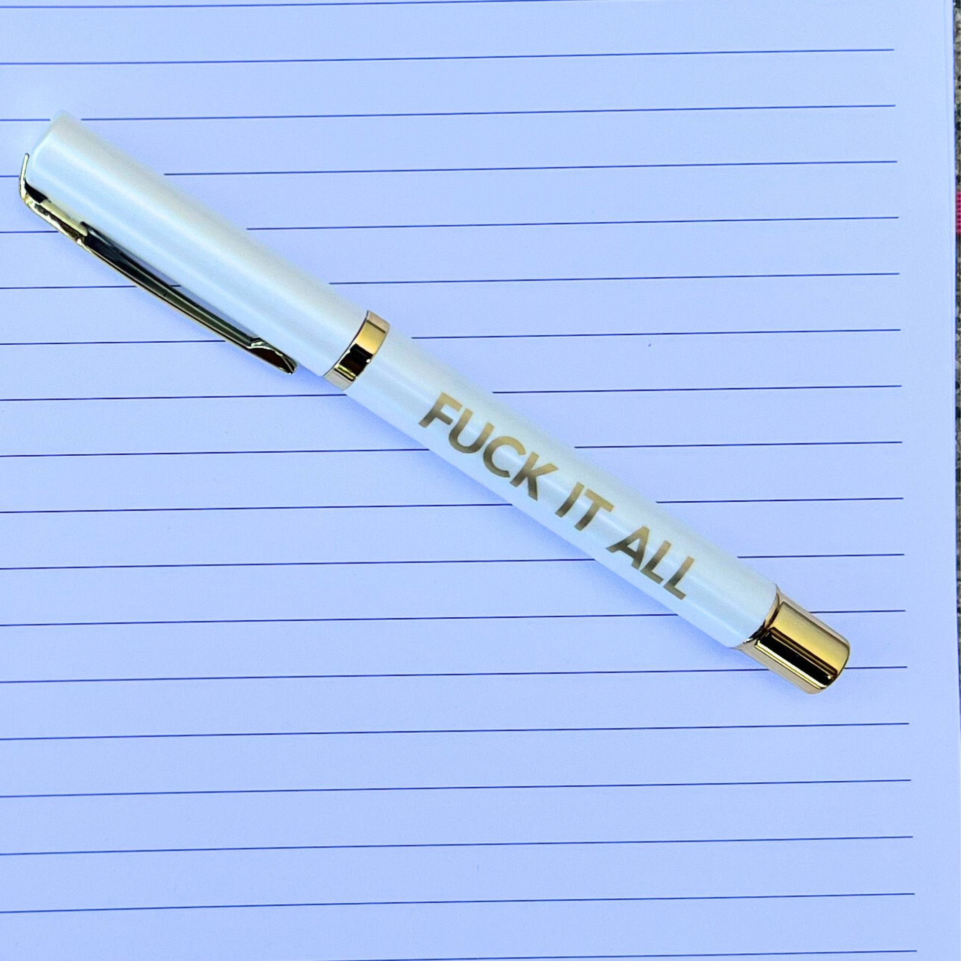 Fuck Everything Journal (funny gifts, journals, notebook)